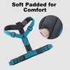 Plutus Pet No Pull Dog Harness, Adjustable Nylon Harness with