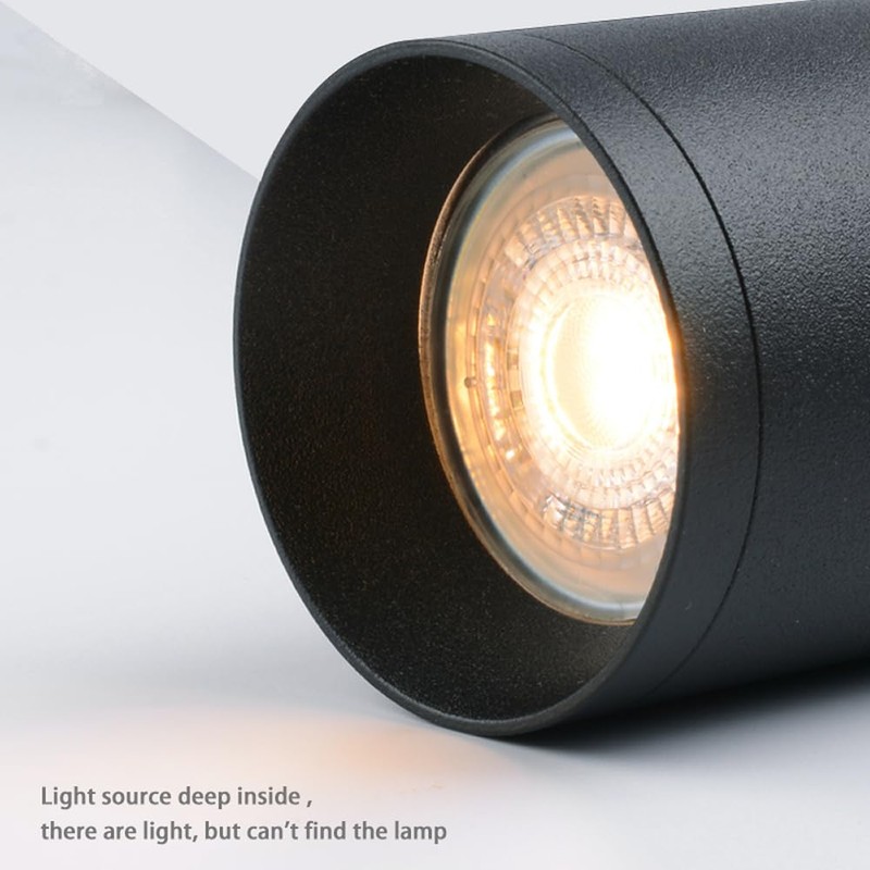 BlueLeon Ceiling Spotlight for Rail System BL-2WT, Black