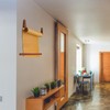 Lincia 12 Inch Kraft Paper Roll Dispenser Wall Mounted 30