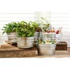 Behrens 3GS 17 Gallon Round Galvanized Steel Tub