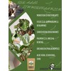 GreenPanda Fungus Gnats Remedy - 250 g Substrate for Fighting