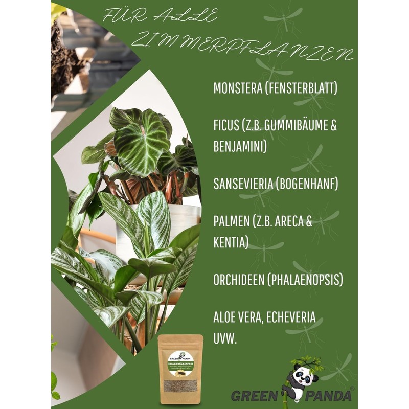 GreenPanda Fungus Gnats Remedy - 250 g Substrate for Fighting