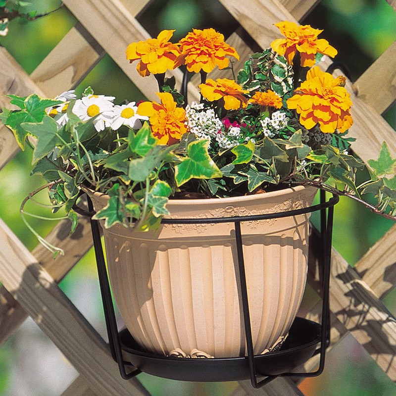 Takasho NPM-PH5L Plant Holder, Single (Large) Width 8.7 x Depth