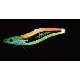 Yamashita Egi King Search 076/Wild Howl No. 3.0