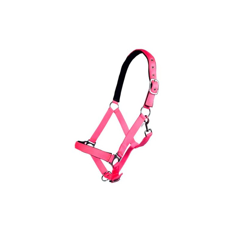 Hkm Headcollar with Stars Softice, Soft Lining