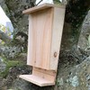 Selections Wooden Bat Box with Landing Perch
