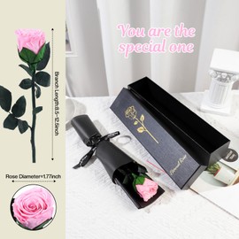 Eternal Infinity Rose Red with Stem, Gifts for Women, Eternal Rose in Gift Box, Preserved Flower for Mum Girlfriend, Birthday Gift, Anniversary Gift Woman (Pink)