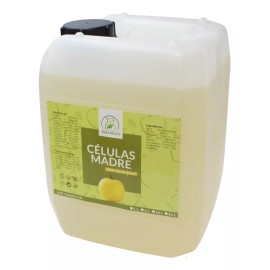 Productos Mart Mexico Jabón Facial De Células Madre Elimina Impurezas 10 Litros