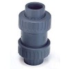 Check Valve,PVC,1-1/2",FKM,Socket