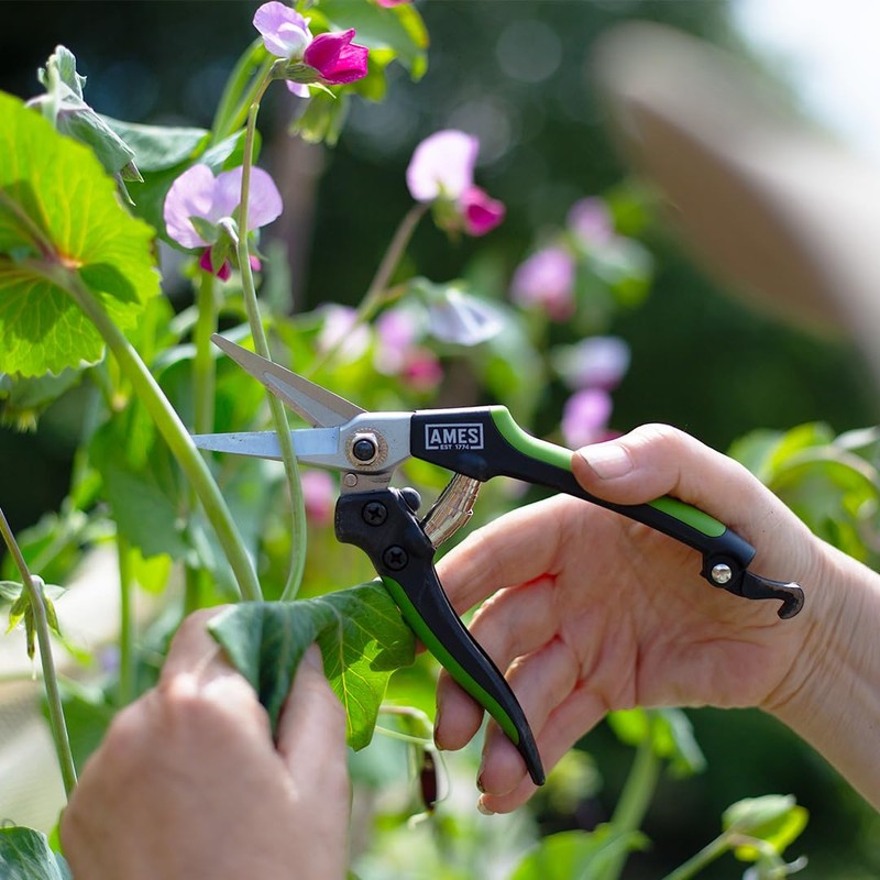 AMES Precision Snips