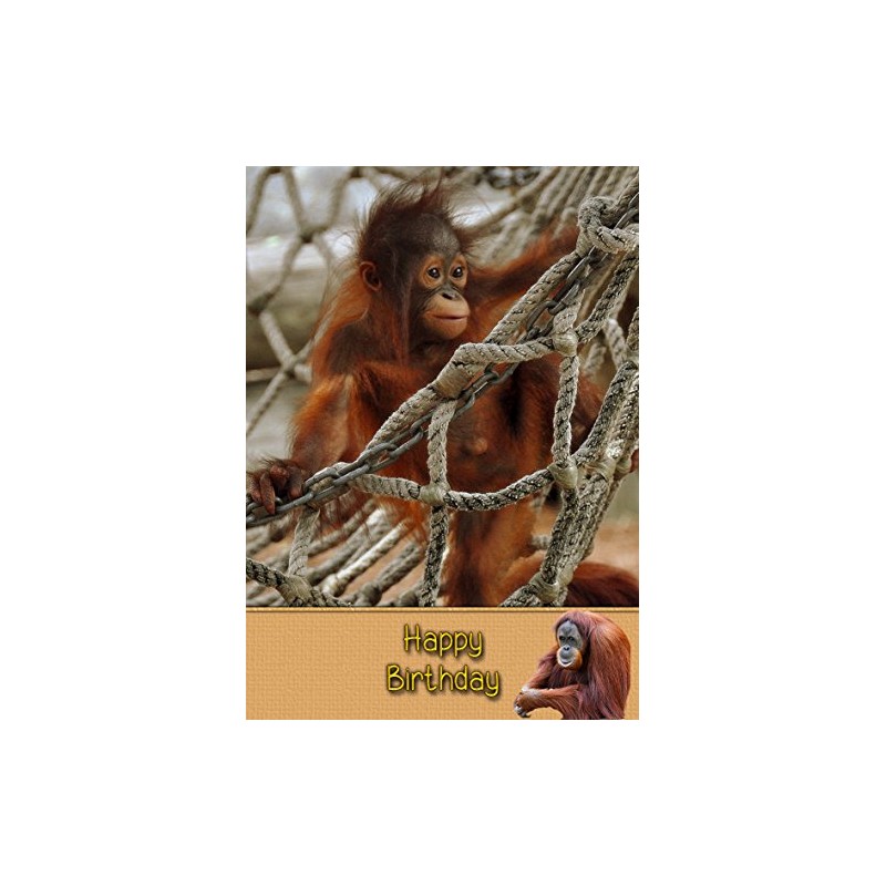 Orangutan Birthday Card