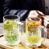 Momugs 20 OZ Beer Stein Mugs, German Clear Large Tall