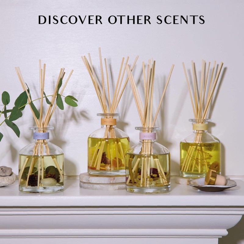Benevolence LA Reed Diffuser, Orange, Cedarwood & Clove Scent Diffuser