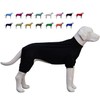 LoveLongLong Dog Jumpsuit with UV Protection and Quick-Dry Fabric for
