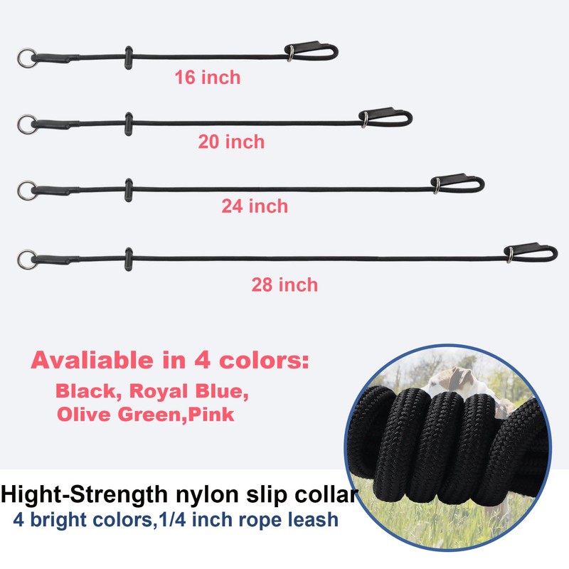 Slip Collar for Small & Medium Dogs, 1/4" Nylon Rope