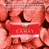 Camay Classic Bar Soap - Moisturizing Camay Classic Soap, Softly