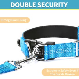 BAAPET Comfortable Dog Collar with Double Security Dual D-Ring and ID Tag Hanger for Small Puppy, Medium and Large Dogs