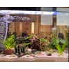 M2cbridge Aquarium Decorations Fish Hideout House Shelter Betta Cave (Style