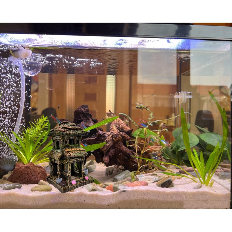 M2cbridge Aquarium Decorations Fish Hideout House Shelter Betta Cave (Style