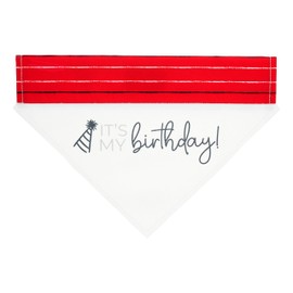 Pavilion - It's My Birthday! - Canvas Medium/Large Dog Over The Collar Striped Party Hat Bandana Attachment Puppy Doggy K9 Rescue Adoptive Dog Pet Accessories Embellishment