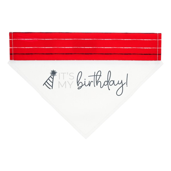 Pavilion - It's My Birthday! - Canvas Medium/Large Dog Over