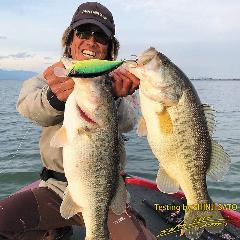 Megabass Big M 7.5 GLX Galaxy Gill Lure