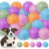 Suilung 25 Pack Spiky Dog Balls, 2.5 Inch Squeaky Balls