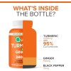 Qunol Turmeric Curcumin with Black Pepper & Ginger, 2400mg Joint