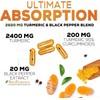 Turmeric Curcumin Supplement with BioPerine 95% Curcuminoids 2600mg with Black