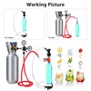 FERRODAY Stainless Steel Carbonation Cap Forced Carbonation PET Bottle Filling
