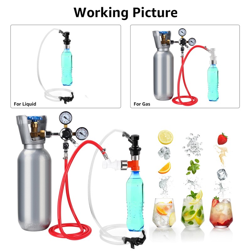 FERRODAY Stainless Steel Carbonation Cap Forced Carbonation PET Bottle Filling