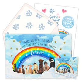 Decorably 8x5in Handmade Individual Rainbow Bridge Card Set with Cloud Cutouts and Glittery Paw Prints, Cat and Dog Sympathy Card for Loss of Pet Dog with Envelope and Stickers, Printed Message Inside