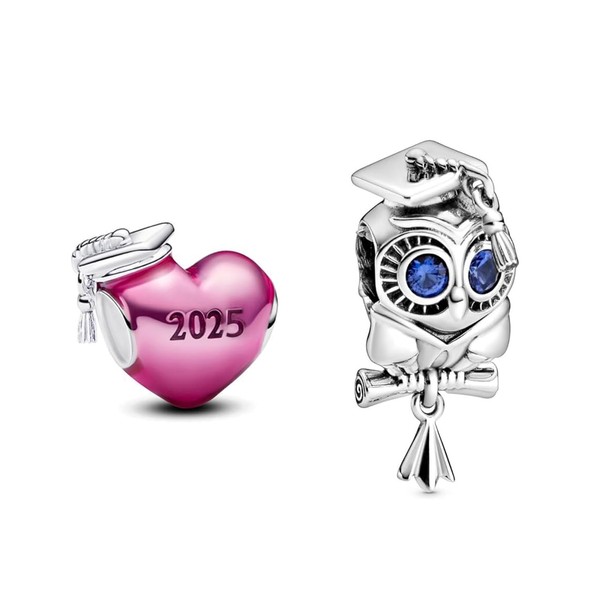 PHCLASY Owl and Heart Graduation Cap Charms Compatible for Bracelets