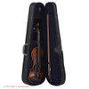 Professional 4/4 Full Size Violin Triangle Shape Case Box Hard