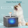 iPettie Replacement Sponge Filter for Neverland Cat Water Fountain with