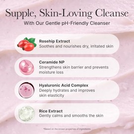 ARENCIA Limpiador Facial Con Rosa Mosqueta Y Pastel De Arroz, Equilibrante De Ph Y Ceramidas Para Piel Sensible, 153 G                                