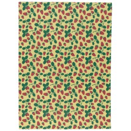 Ecologie by Danica Reusable Beeswax Food Storage Berries & Fruit Extra Large wrap, W17 x L22.75