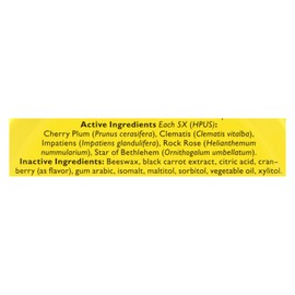 UD_Bach Rescue Remedy Pastilles-Cranberry Flavor 50 Grams Case of 12 Breath Fresheners