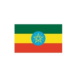 Bcn 3x5 Foot Ethiopia with Star Polyester Flag