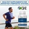 LymphFlo: Herbal Support for Detox, Immunity & Well-Being. Formulated with