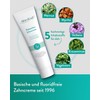 Bitterkraft! Hildegard von Bingen Toothpaste, 6 x 75 ml, Vine