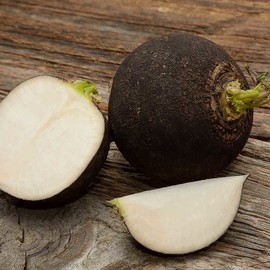 HeirloomSupplySuccess 50 Heirloom Round Black Spanish Radish Seeds