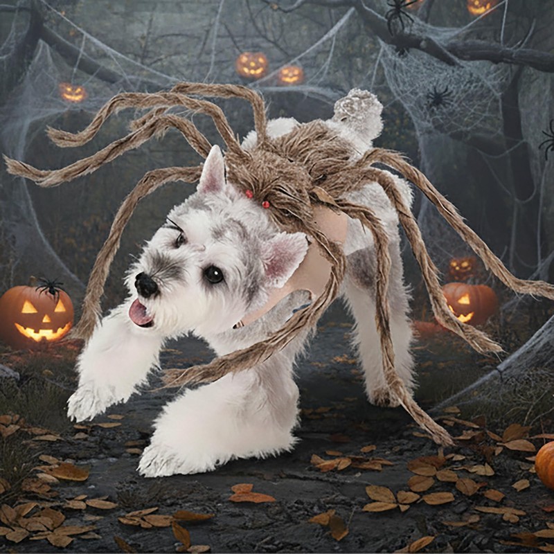 bogbago Disfraz de araña para Perro, Divertido Disfraz para Perro