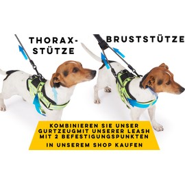 Dog Harness with 3 Metal Eyelets for Attaching Your Chest or Chest Strap to Avoid Choking Your Neck