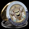 Unbranded Blue Nose Challenge Coin