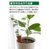 Mendel Automatic Waterer, Safe Even When You Are Away Automatic