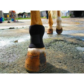 Bedsore Boots for Horses -Equine Leg Protection for Pressure Sores & Ulcers- Neoprene Stall Boots, Heal Wounds Faster, Easy On/Off, Washable & Air-Dry