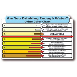 Health Sticker URINE COLOR CHART HYDRATION HIGH QUALITY WATERPROOF GLOSS UV DECAL STICKER