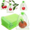 GWHOLE 50pcs 6x8 Inch Fruit Protection Bags, Fruit Cover Mesh