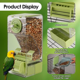Bird Feeder No Mess 2PCS Automatic Clear Bird Seed Food Container Acrylic Parrot Feeder Dispenser Cage Accessories for Parakeet Budgies Cockatoo Canary Love Bird (Green)